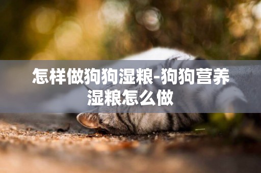 怎樣做狗狗濕糧-狗狗營養濕糧怎么做