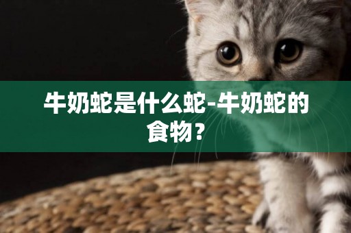 牛奶蛇是什么蛇-牛奶蛇的食物？