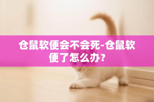 倉鼠軟便會不會死-倉鼠軟便了怎么辦？