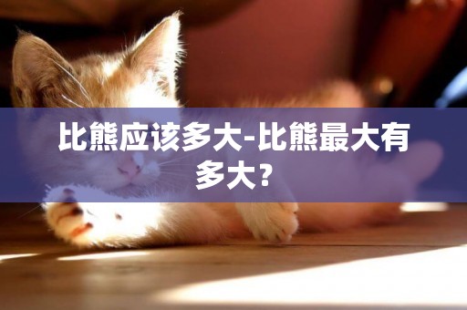 比熊應該多大-比熊最大有多大？