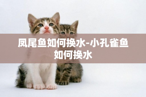 鳳尾魚如何換水-小孔雀魚如何換水