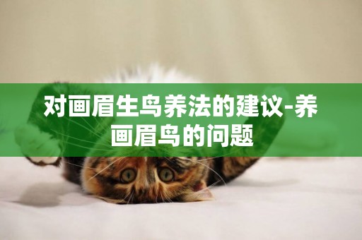 對畫眉生鳥養法的建議-養畫眉鳥的問題