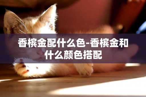 香檳金配什么色-香檳金和什么顏色搭配