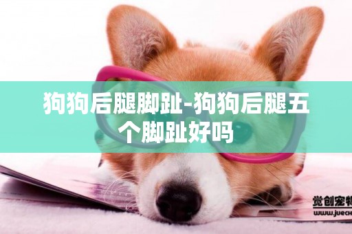 狗狗后腿腳趾-狗狗后腿五個腳趾好嗎