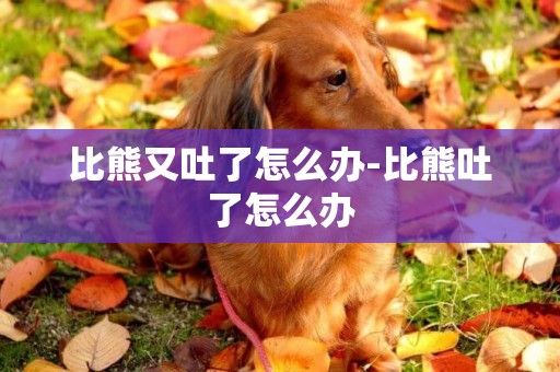比熊又吐了怎么辦-比熊吐了怎么辦