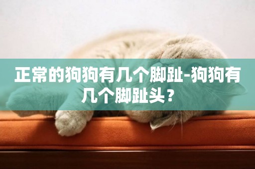 正常的狗狗有幾個腳趾-狗狗有幾個腳趾頭？