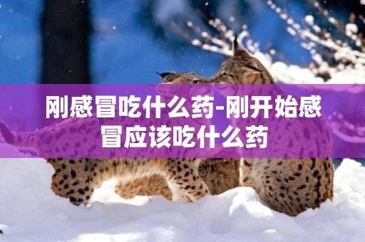 剛感冒吃什么藥-剛開始感冒應該吃什么藥