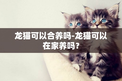 龍貓可以合養嗎-龍貓可以在家養嗎？