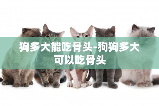 狗多大能吃骨頭-狗狗多大可以吃骨頭
