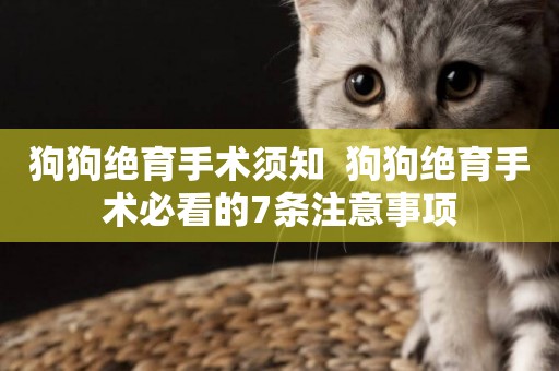 狗狗絕育手術須知  狗狗絕育手術必看的7條注意事項
