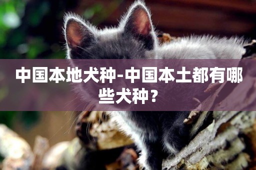 中國本地犬種-中國本土都有哪些犬種？