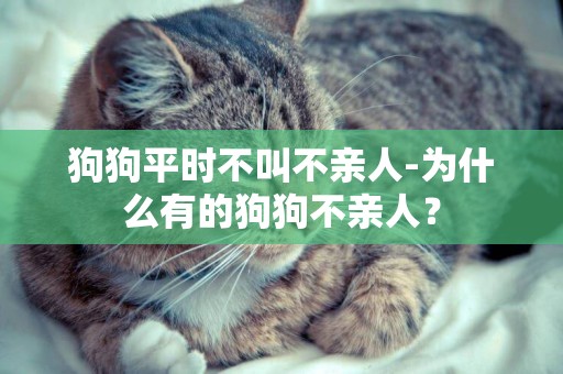 狗狗平時不叫不親人-為什么有的狗狗不親人？