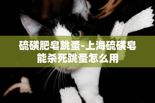 硫磺肥皂跳蚤-上海硫磺皂能殺死跳蚤怎么用