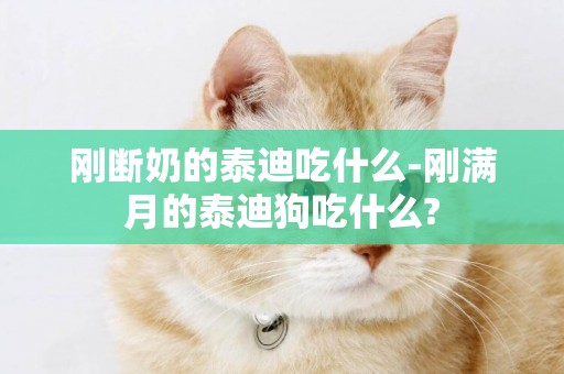 剛斷奶的泰迪吃什么-剛滿月的泰迪狗吃什么?