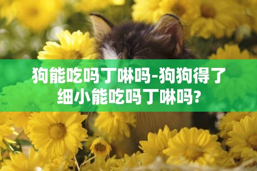 狗能吃嗎丁啉嗎-狗狗得了細小能吃嗎丁啉嗎?