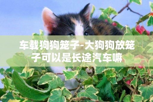 車載狗狗籠子-大狗狗放籠子可以是長途汽車嘛