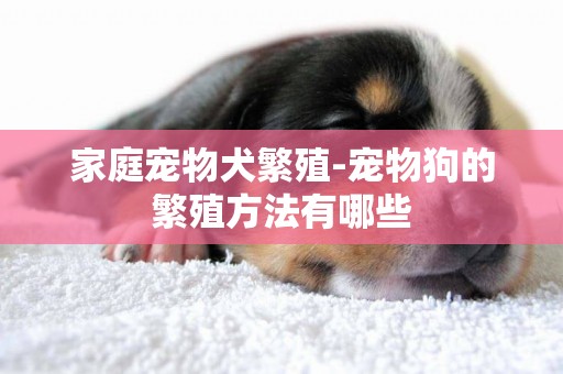 家庭寵物犬繁殖-寵物狗的繁殖方法有哪些