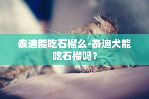 泰迪能吃石榴么-泰迪犬能吃石榴嗎？