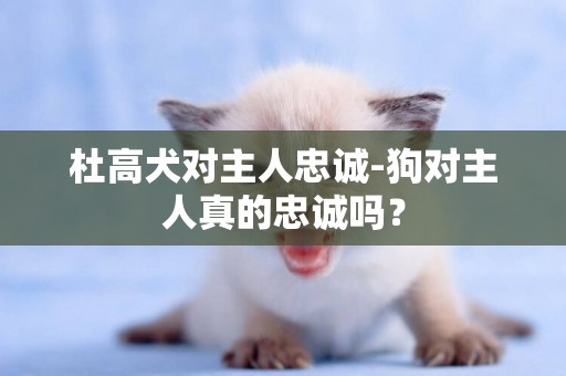杜高犬對主人忠誠-狗對主人真的忠誠嗎？