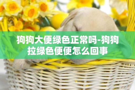 狗狗大便綠色正常嗎-狗狗拉綠色便便怎么回事