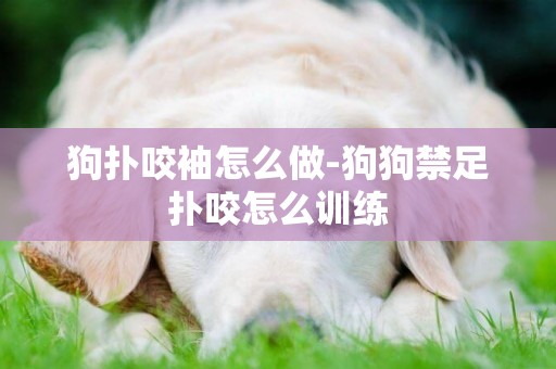狗撲咬袖怎么做-狗狗禁足撲咬怎么訓練