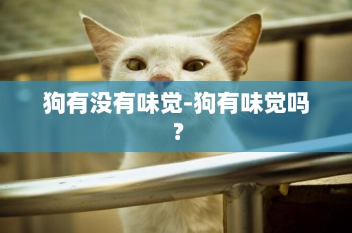 狗有沒有味覺-狗有味覺嗎？