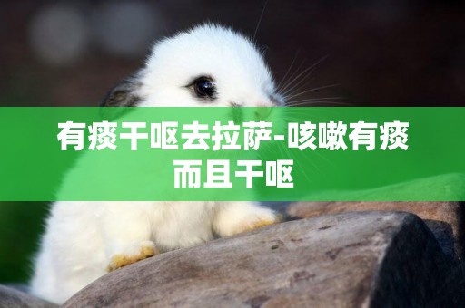 有痰干嘔去拉薩-咳嗽有痰而且干嘔
