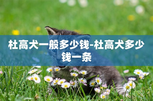 杜高犬一般多少錢-杜高犬多少錢一條