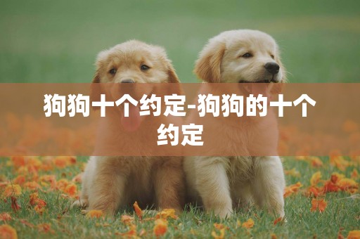 狗狗十個約定-狗狗的十個約定