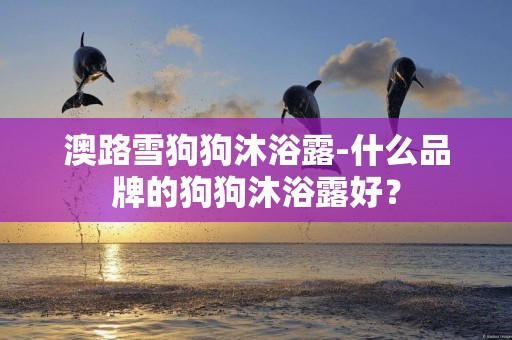 澳路雪狗狗沐浴露-什么品牌的狗狗沐浴露好？
