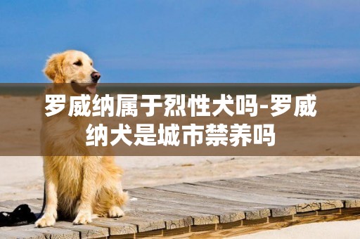 羅威納屬于烈性犬嗎-羅威納犬是城市禁養嗎