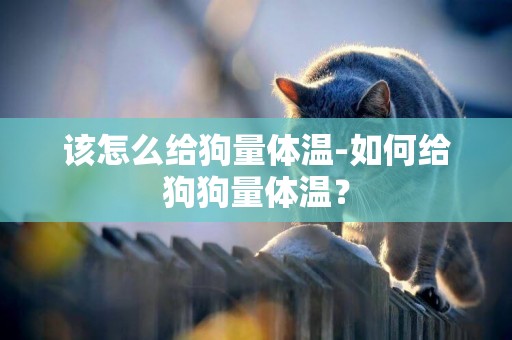 該怎么給狗量體溫-如何給狗狗量體溫？