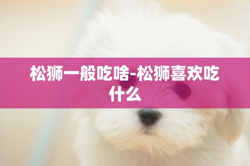 松獅一般吃啥-松獅喜歡吃什么