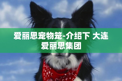 愛麗思寵物籠-介紹下 大連愛麗思集團