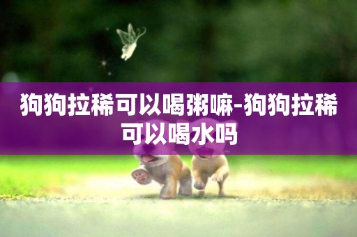 狗狗拉稀可以喝粥嘛-狗狗拉稀可以喝水嗎