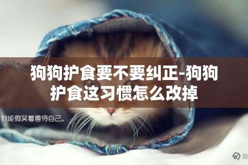 狗狗護食要不要糾正-狗狗護食這習慣怎么改掉