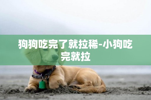 狗狗吃完了就拉稀-小狗吃完就拉