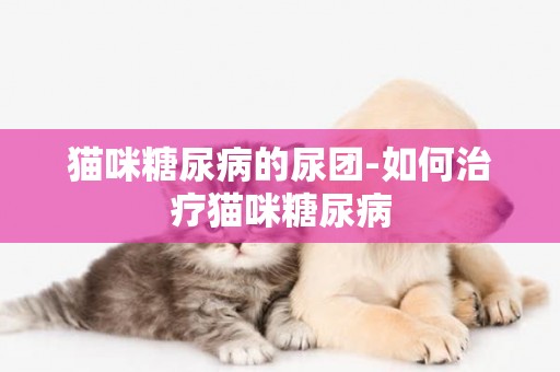 貓咪糖尿病的尿團-如何治療貓咪糖尿病