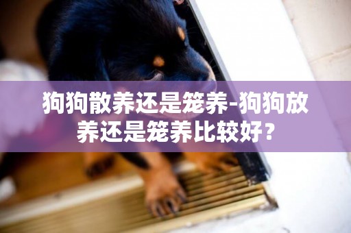 狗狗散養還是籠養-狗狗放養還是籠養比較好？