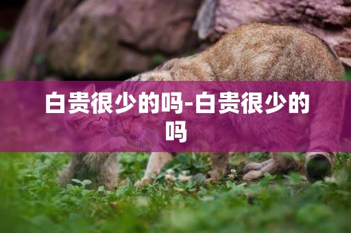 白貴很少的嗎-白貴很少的嗎