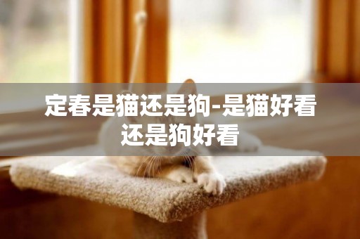 定春是貓還是狗-是貓好看還是狗好看