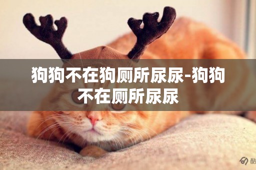 狗狗不在狗廁所尿尿-狗狗不在廁所尿尿