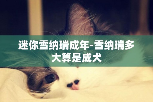 迷你雪納瑞成年-雪納瑞多大算是成犬