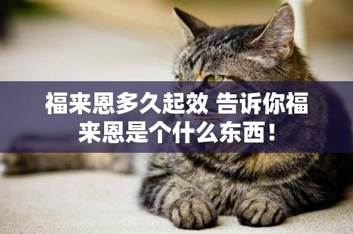 福來恩多久起效 告訴你福來恩是個什么東西！