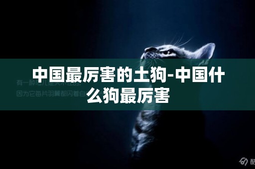 中國最厲害的土狗-中國什么狗最厲害