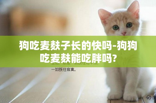 狗吃麥麩子長的快嗎-狗狗吃麥麩能吃胖嗎?