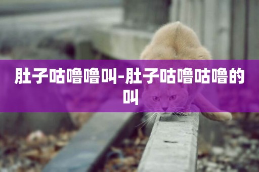 肚子咕嚕嚕叫-肚子咕嚕咕嚕的叫