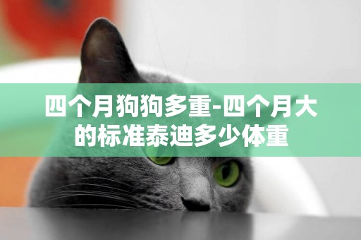 四個月狗狗多重-四個月大的標準泰迪多少體重