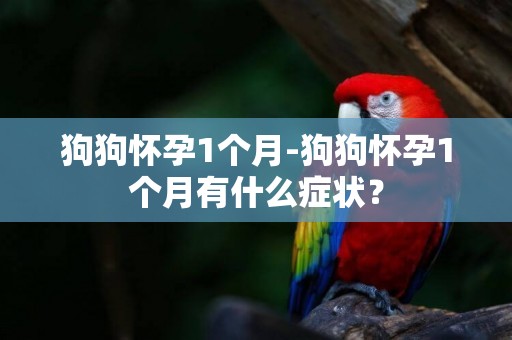 狗狗懷孕1個月-狗狗懷孕1個月有什么癥狀？