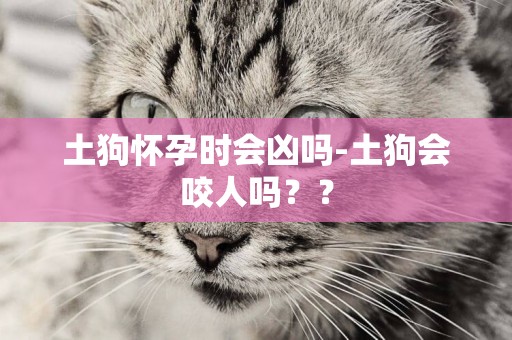 土狗懷孕時會兇嗎-土狗會咬人嗎？？
